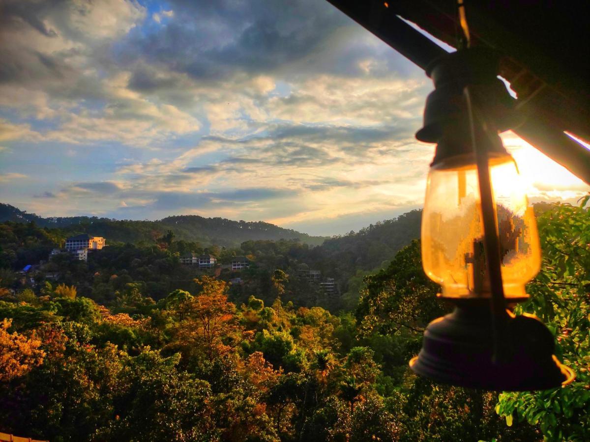 The Wild Trails Clarks Exotica , Munnar Hotell Eksteriør bilde