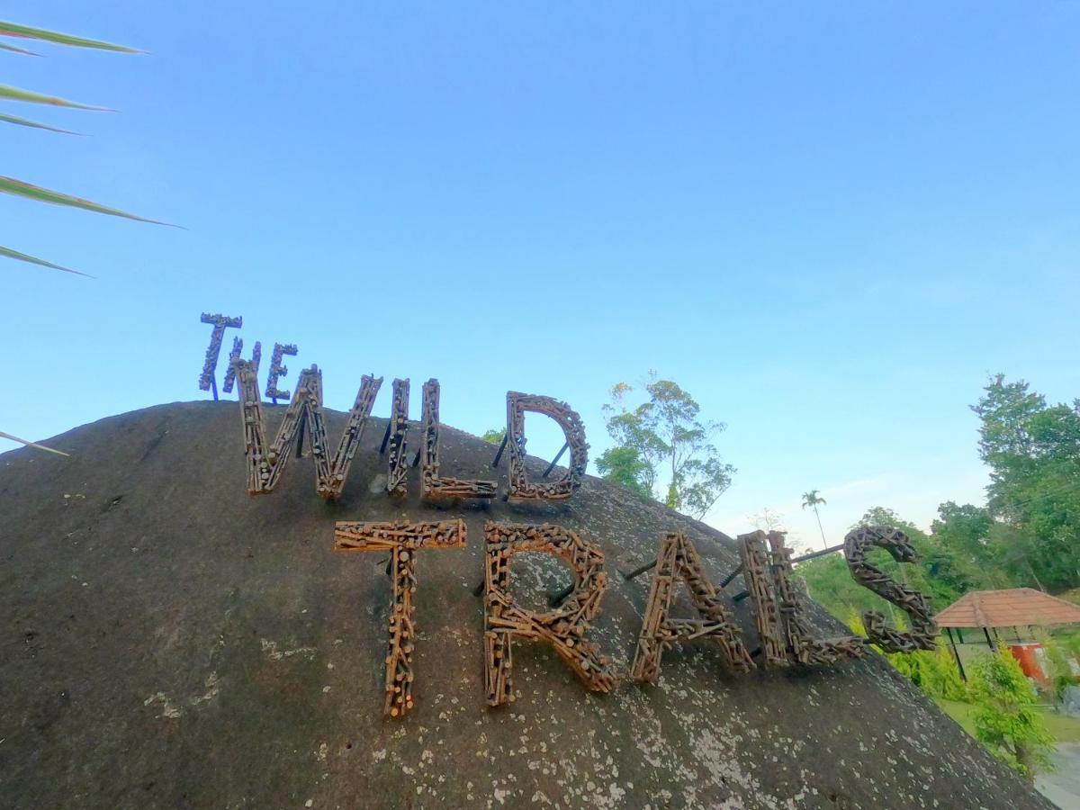 The Wild Trails Clarks Exotica , Munnar Hotell Eksteriør bilde