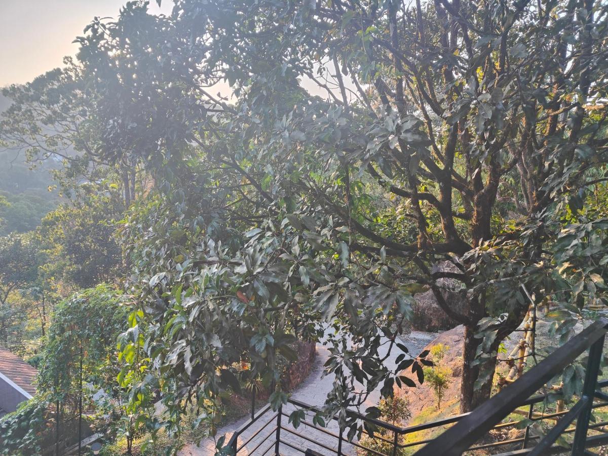 The Wild Trails Clarks Exotica , Munnar Hotell Eksteriør bilde