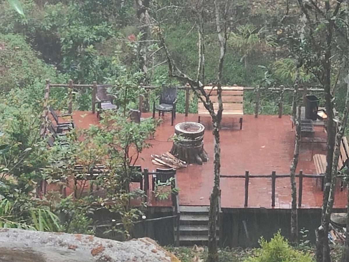 The Wild Trails Clarks Exotica , Munnar Hotell Eksteriør bilde